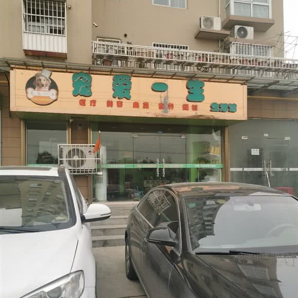 宠爱一生(团结西路店):西安市鄠邑区