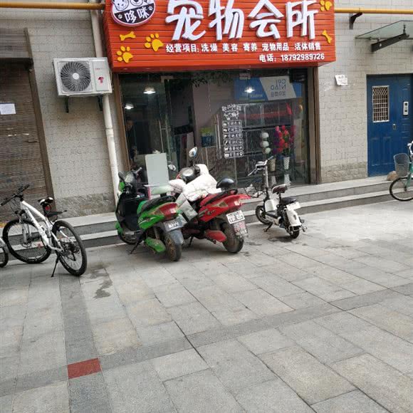 哆咪狗狗会所:西安市鄠邑区