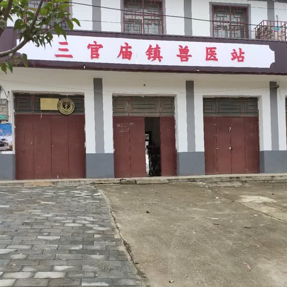 三官庙镇兽医站:西安市蓝田县
