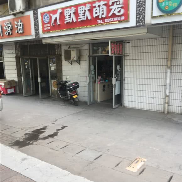 默默萌宠:宝鸡市渭滨区
