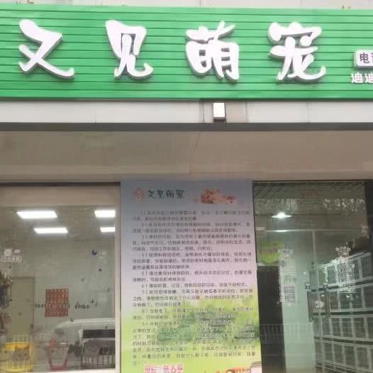 又见萌宠(迪迪萌宠屋):宝鸡市渭滨区