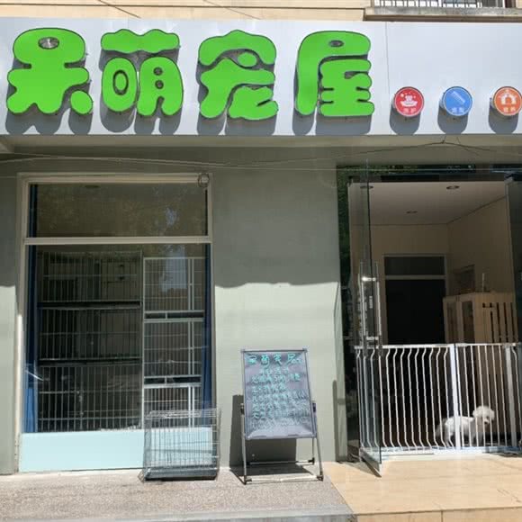 呆萌宠屋:宝鸡市金台区