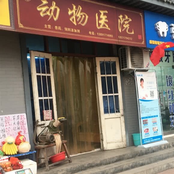 动物医院:宝鸡市陇县