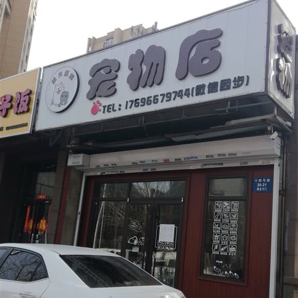 越来越帅宠物店:沈阳市铁西区财富广场附近