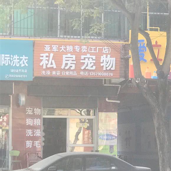 私房宠物:咸阳市三原县