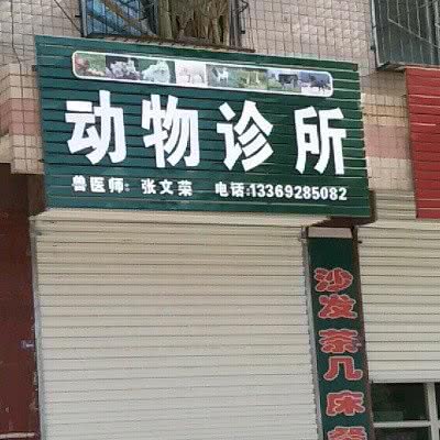 动物诊所:延安市宜川县