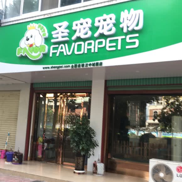 圣宠宠物(城固店):汉中市城固县