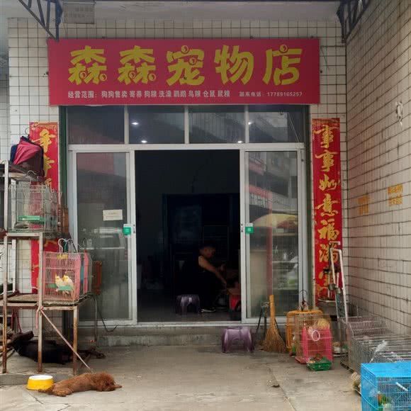 森森宠物店:汉中市城固县