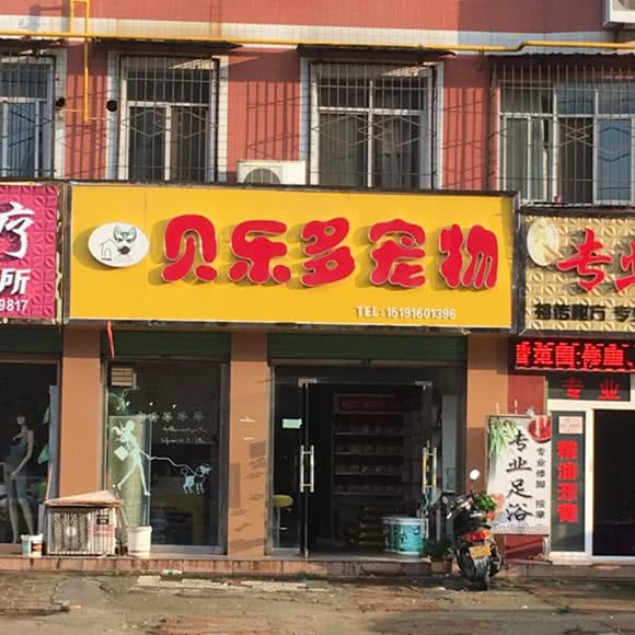 贝乐多宠物:汉中市城固县