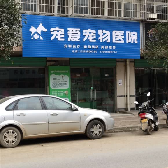 宠爱宠物医院:汉中市城固县