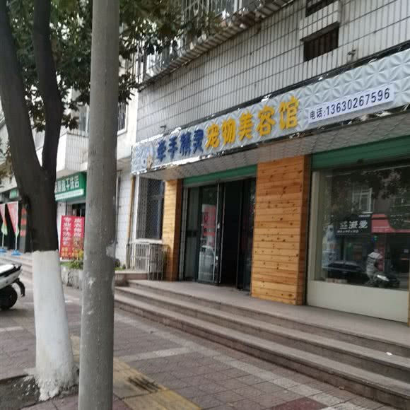 牵手精灵宠物美容馆:汉中市勉县