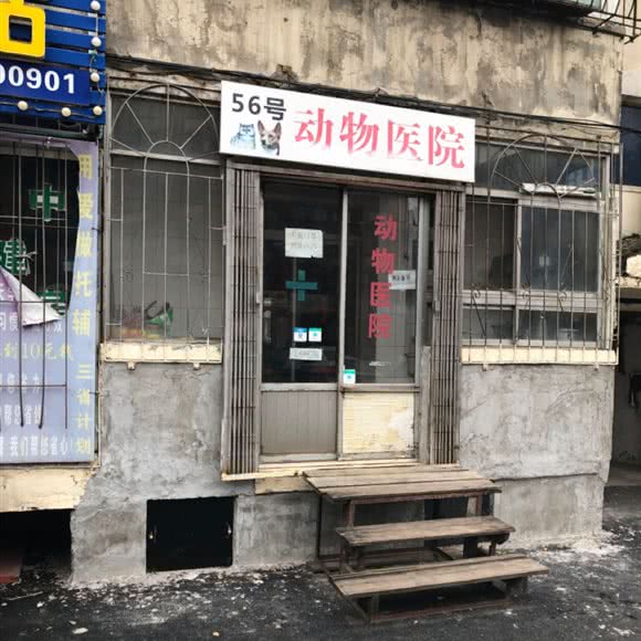 56号宠物医院:沈阳市铁西区财富广场附近