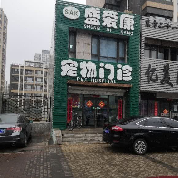盛爱康动物门诊:沈阳市铁西区财富广场附近