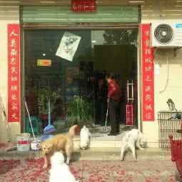 宠乐多宠物店:安康市旬阳市