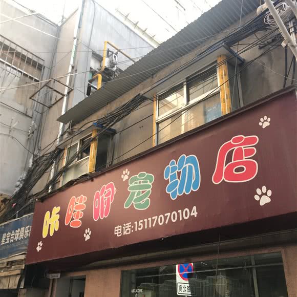 咔哇咿宠物店:兰州市城关区