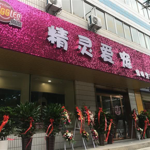 精灵爱宠宠物生活馆:兰州市安宁区
