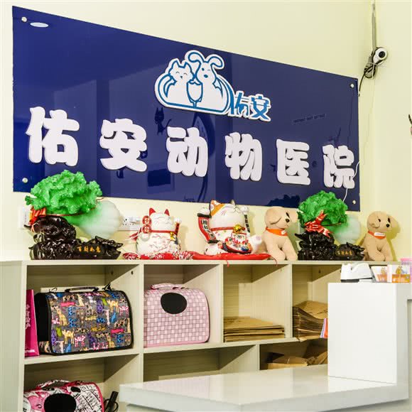 佑安动物医院(海关店):兰州市安宁区