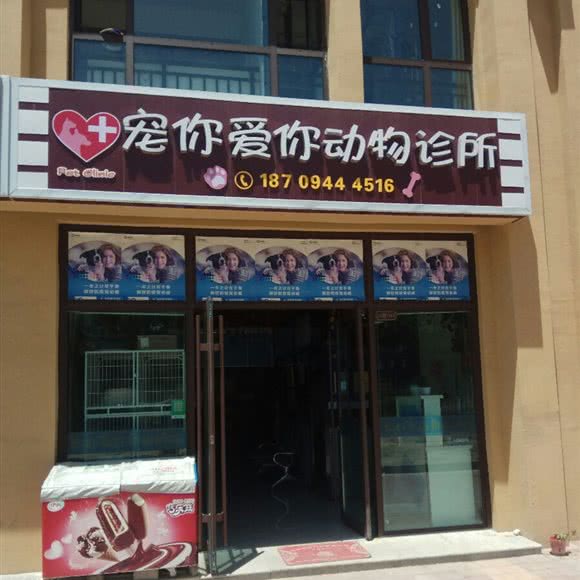 宠你爱你动物诊所:兰州市永登县