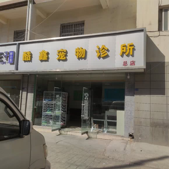 酷鑫宠物诊所(总店):兰州市榆中县