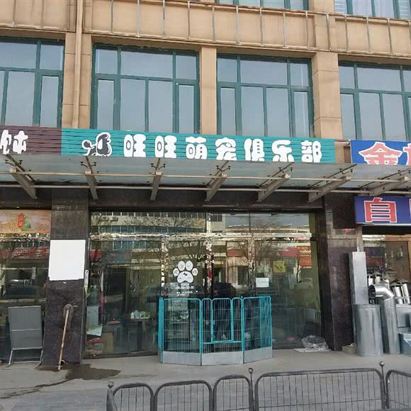 旺旺萌宠俱乐部:金昌市金川区