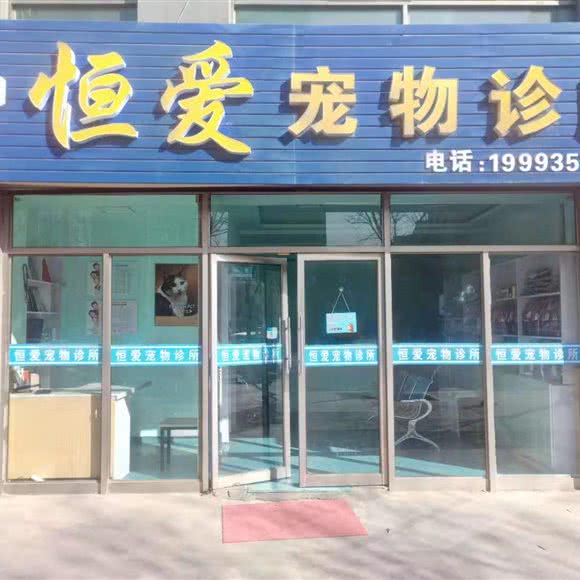 恒爱宠物诊所:金昌市金川区