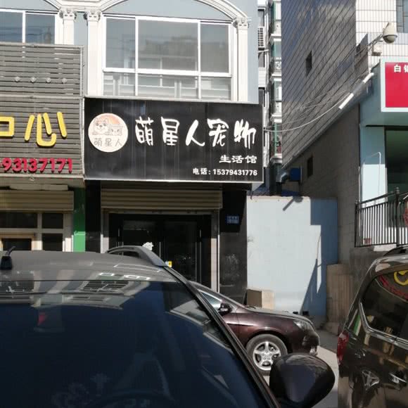 萌星人宠物生活馆:白银市白银区