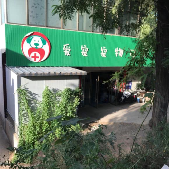 爱宠宠物医院:天水市甘谷县