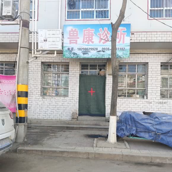 蝎康诊所:天水市张家川回族自治县