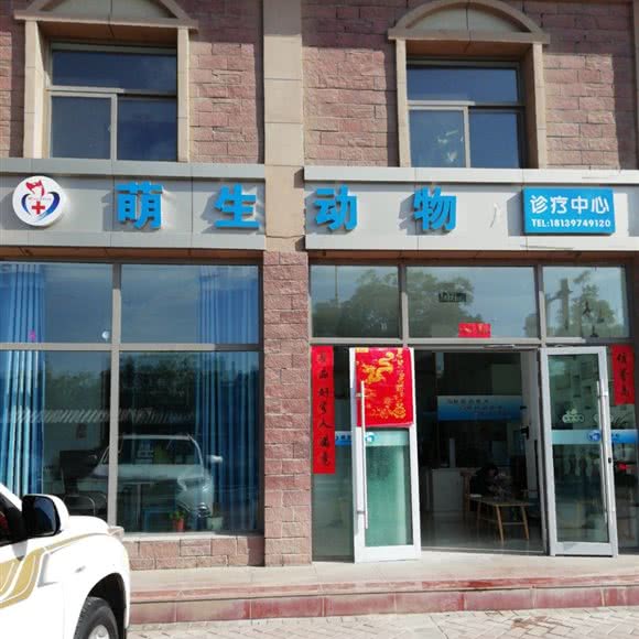 萌生动物诊疗中心:武威市凉州区