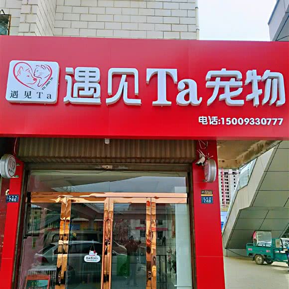 遇见Ta宠物:平凉市泾川县