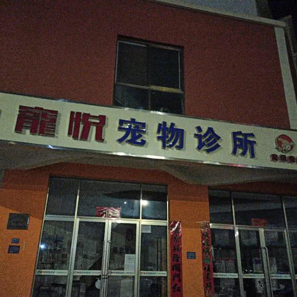 寵悦宠物狗诊所:酒泉市肃州区