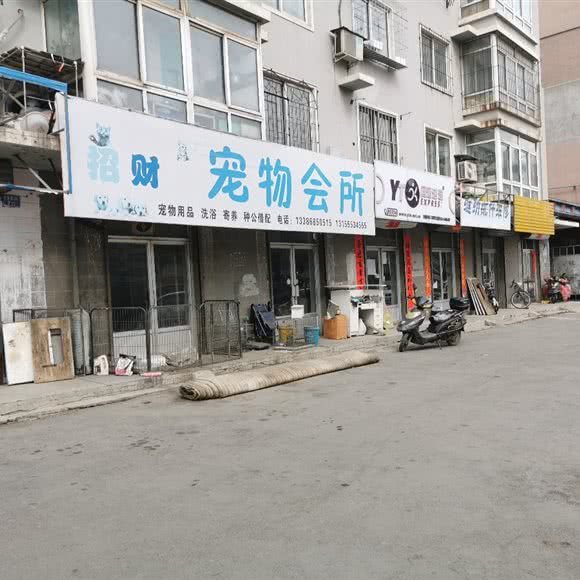 招财猫宠物会所:沈阳市苏家屯区苏家屯客运站附近