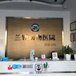 兰领动物医院:酒泉市敦煌市