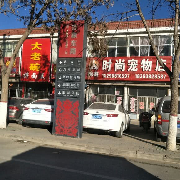 豫鑫时尚宠物店:庆阳市西峰区