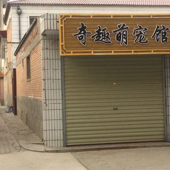 奇趣萌宠馆:庆阳市西峰区