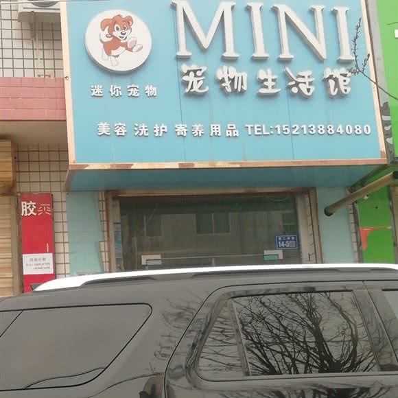 迷你宠物生活馆:庆阳市正宁县