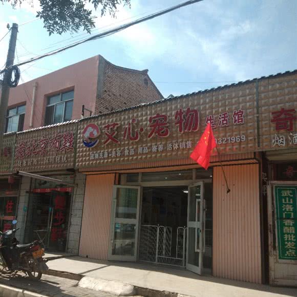 艾心宠物:定西市陇西县