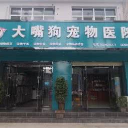 大嘴狗宠物医院:陇南市礼县