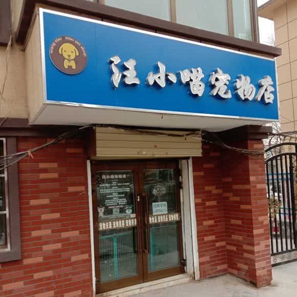 汪小喵宠物店:西宁市城中区