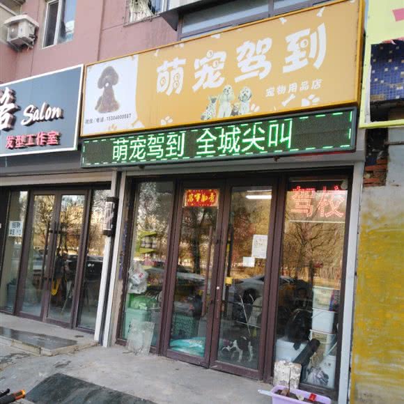 萌宠驾到宠物用品店:沈阳市苏家屯区苏家屯区政府附近