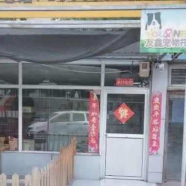 银川友鑫宠物托运:银川市兴庆区