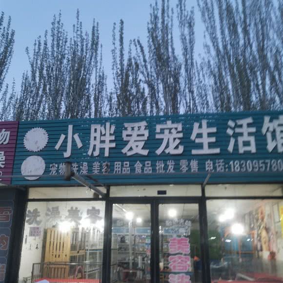 小胖爱宠生活馆:银川市兴庆区