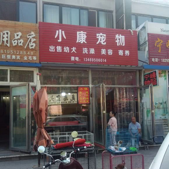 小康宠物:银川市兴庆区