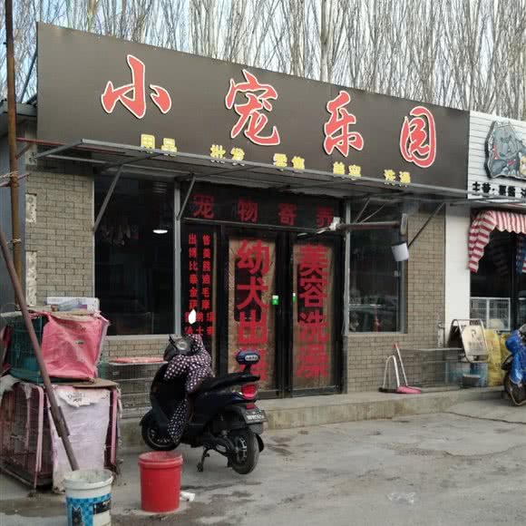 小宠乐园:银川市兴庆区