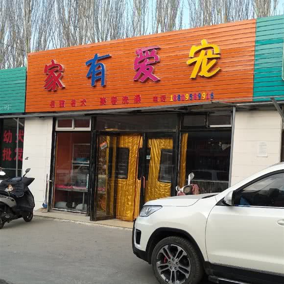 家有爱宠:银川市兴庆区