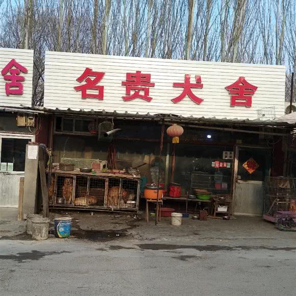 名贵犬舍:银川市兴庆区