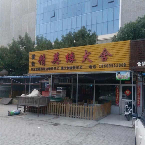 精英缘犬舍:银川市兴庆区
