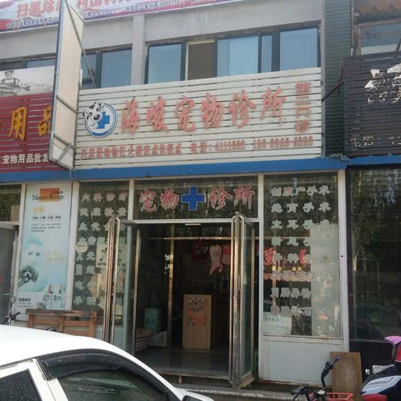 海峻宠物诊所:银川市兴庆区