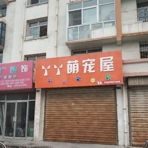 丫丫萌宠屋:银川市西夏区