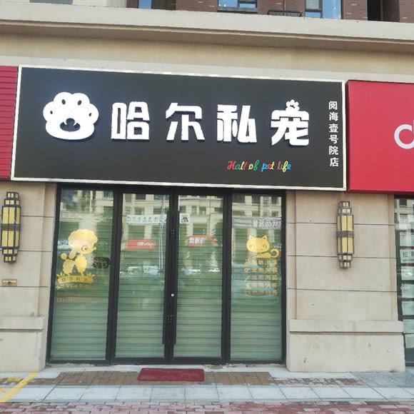 哈尔私宠:银川市金凤区
